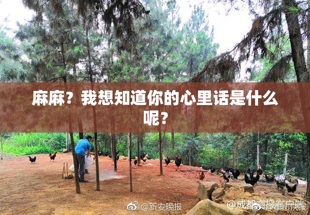 麻麻？我想知道你的心里话是什么呢？