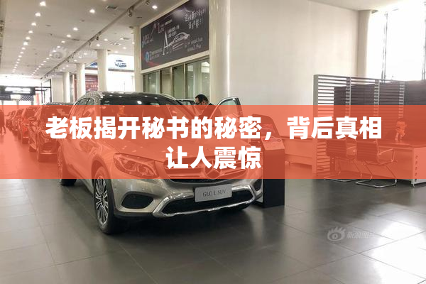 老板揭开秘书的秘密，背后真相让人震惊