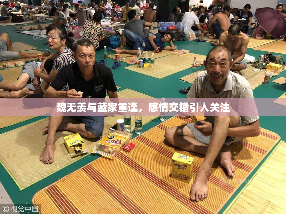 魏无羡与蓝家重逢，感情交错引人关注
