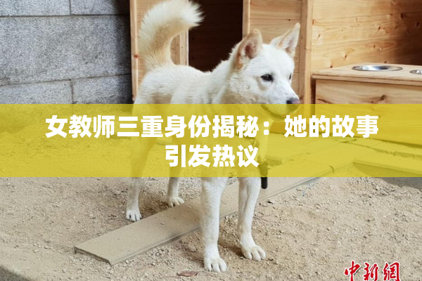 女教师三重身份揭秘：她的故事引发热议