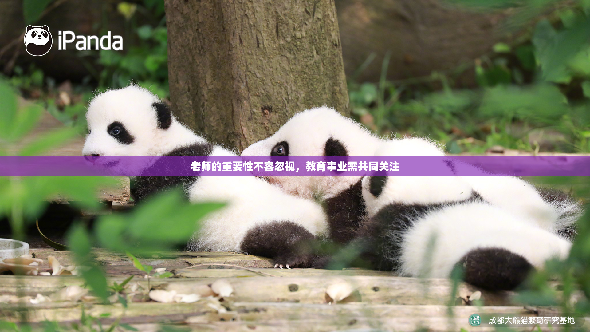 老师的重要性不容忽视，教育事业需共同关注