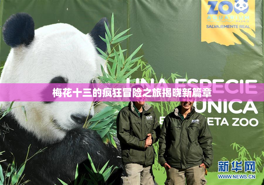 梅花十三的疯狂冒险之旅揭晓新篇章