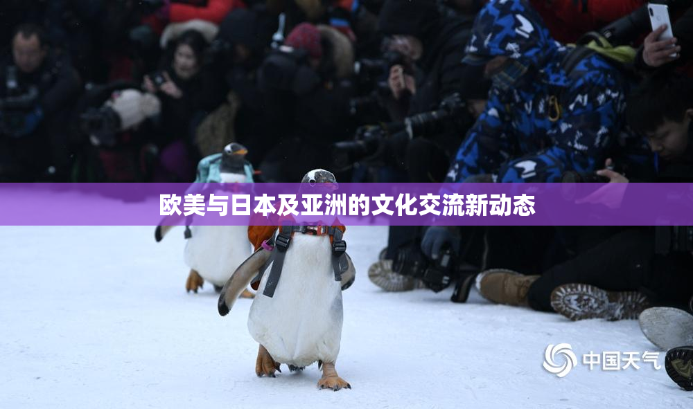 欧美与日本及亚洲的文化交流新动态