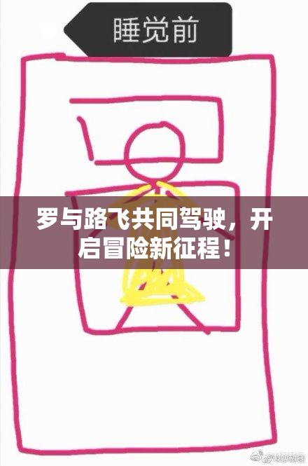 罗与路飞共同驾驶，开启冒险新征程！