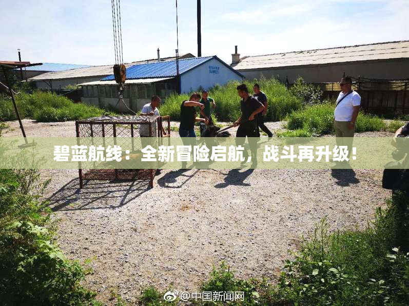 碧蓝航线：全新冒险启航，战斗再升级！