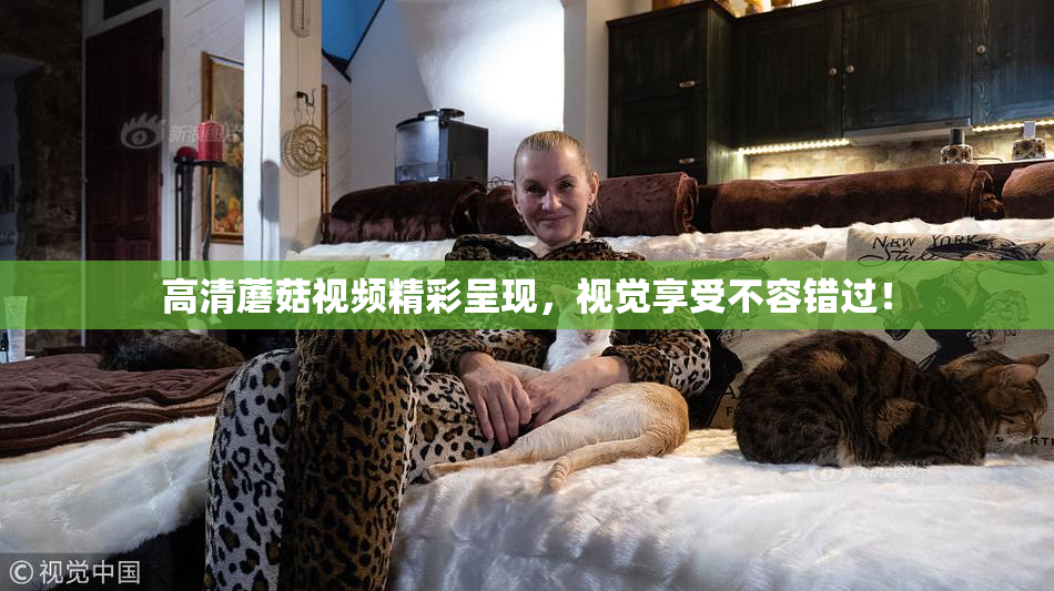 高清蘑菇视频精彩呈现，视觉享受不容错过！