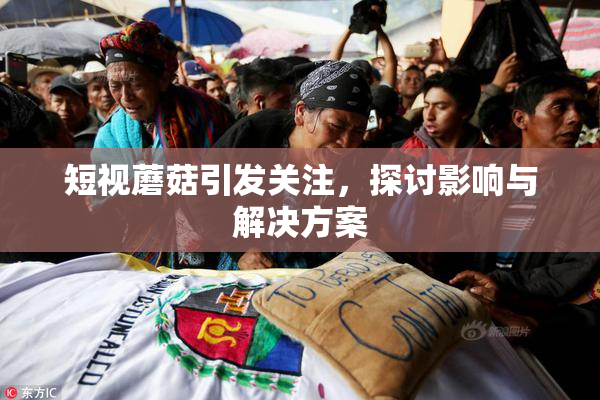 短视蘑菇引发关注，探讨影响与解决方案