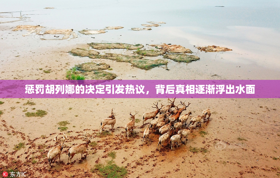 惩罚胡列娜的决定引发热议，背后真相逐渐浮出水面