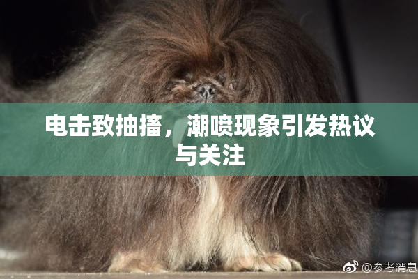 电击致抽搐，潮喷现象引发热议与关注