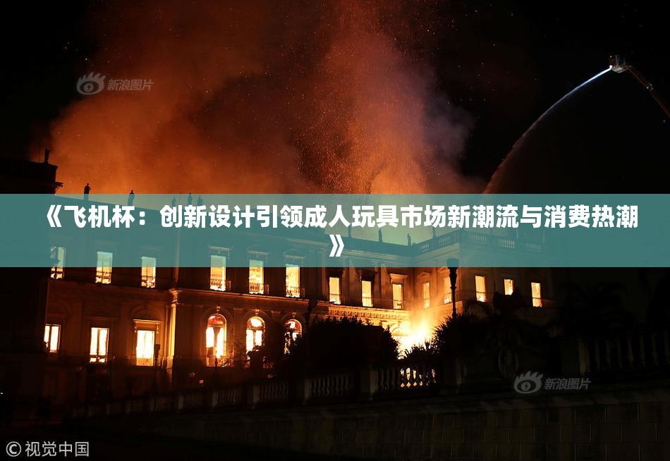 《飞机杯：创新设计引领成人玩具市场新潮流与消费热潮》