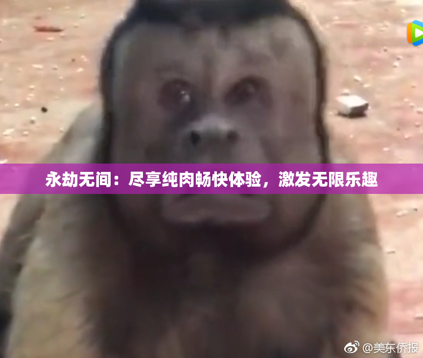 永劫无间：尽享纯肉畅快体验，激发无限乐趣