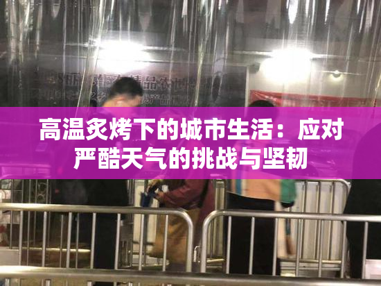 高温炙烤下的城市生活：应对严酷天气的挑战与坚韧