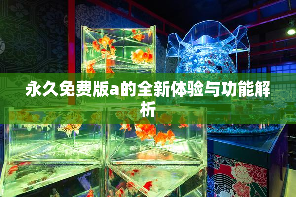 永久免费版a的全新体验与功能解析