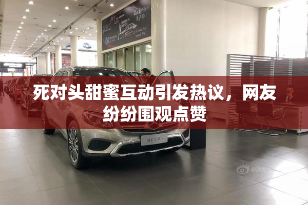 死对头甜蜜互动引发热议，网友纷纷围观点赞