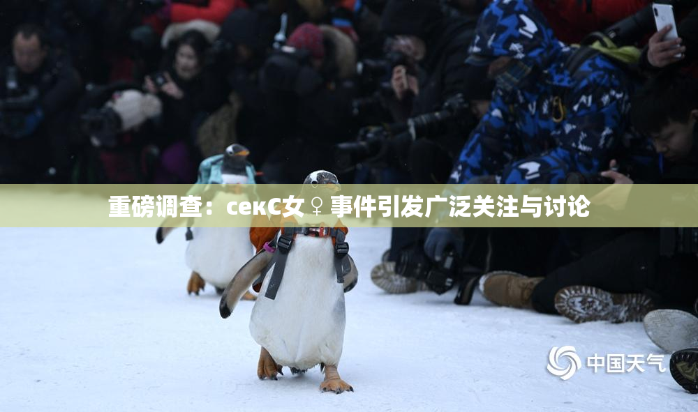 重磅调查：секС女♀事件引发广泛关注与讨论