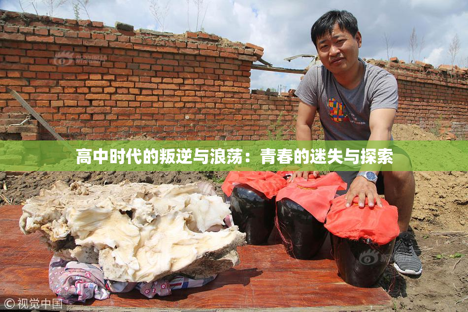 高中时代的叛逆与浪荡：青春的迷失与探索