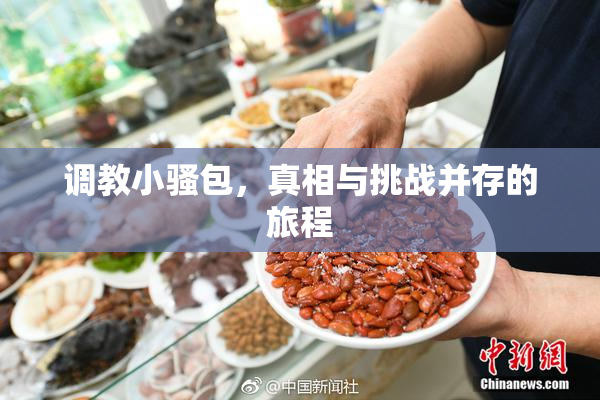 调教小骚包，真相与挑战并存的旅程