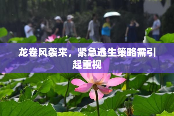 龙卷风袭来，紧急逃生策略需引起重视