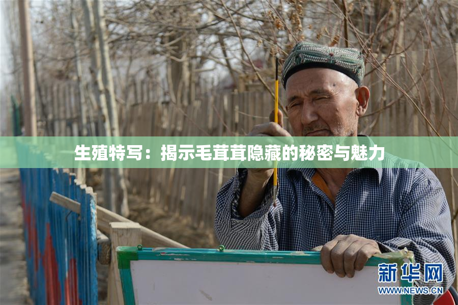 生殖特写：揭示毛茸茸隐藏的秘密与魅力