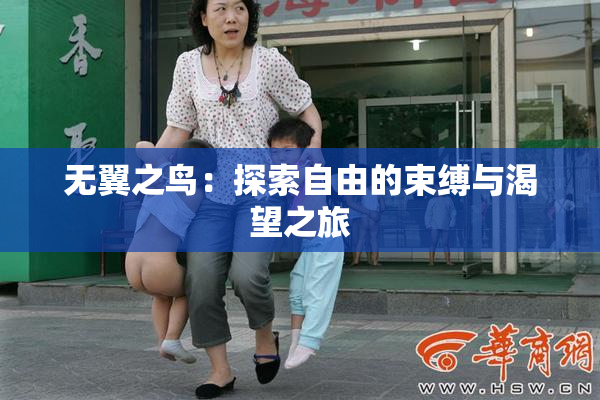 无翼之鸟：探索自由的束缚与渴望之旅