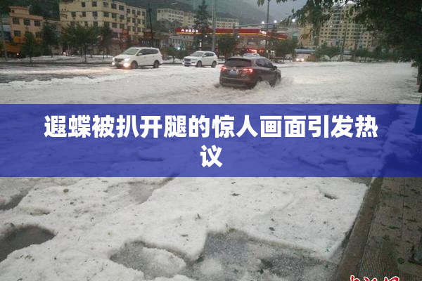 遐蝶被扒开腿的惊人画面引发热议