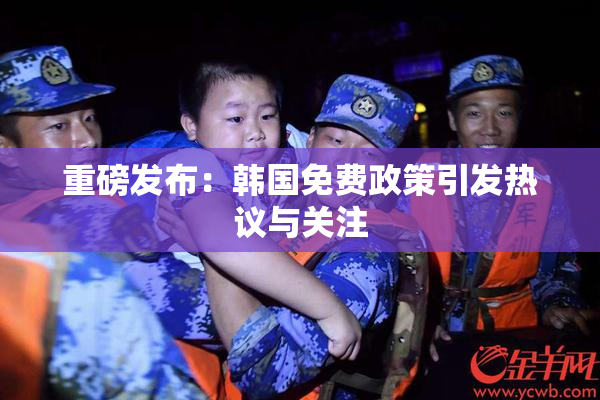 重磅发布：韩国免费政策引发热议与关注