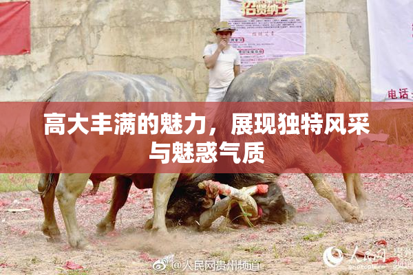 高大丰满的魅力，展现独特风采与魅惑气质