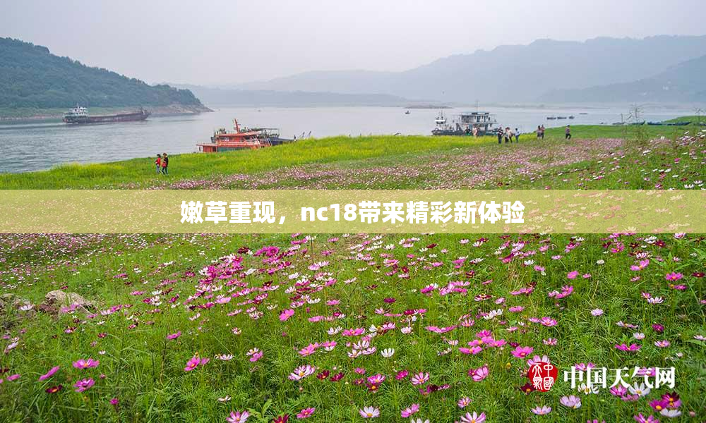 嫩草重现，nc18带来精彩新体验