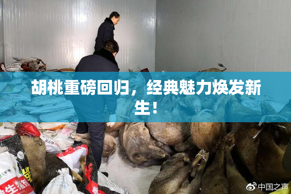胡桃重磅回归，经典魅力焕发新生！