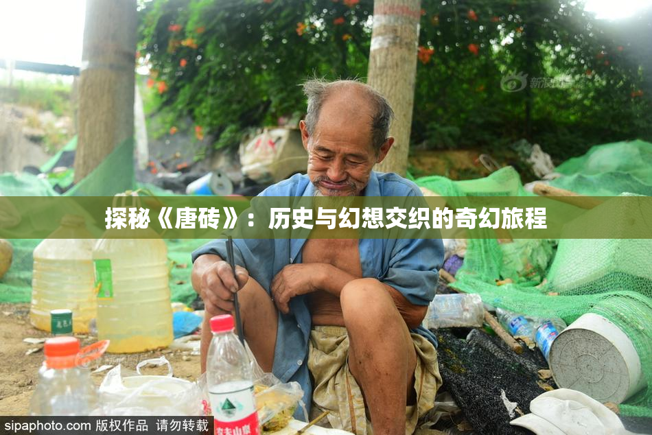 探秘《唐砖》：历史与幻想交织的奇幻旅程