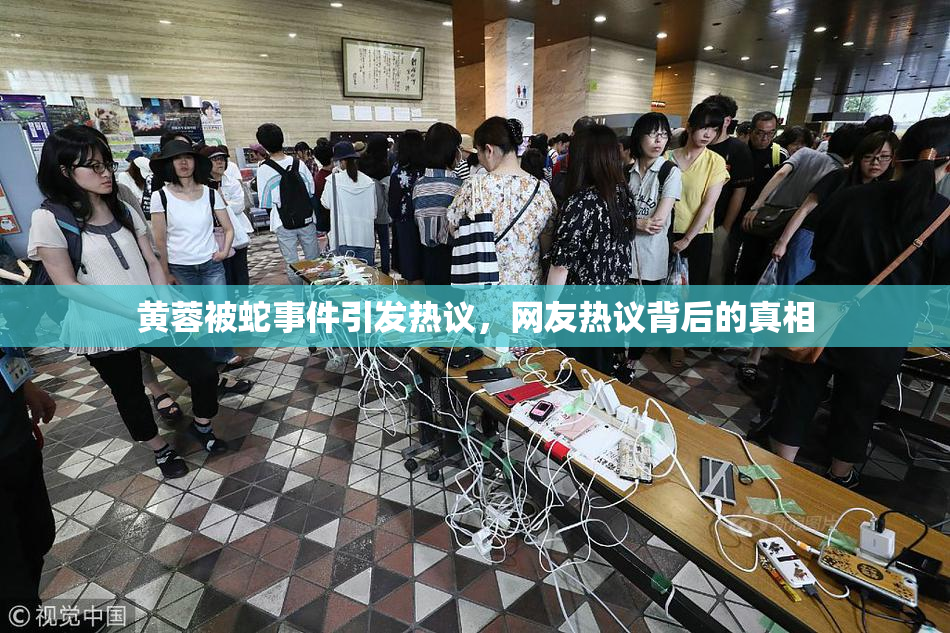 黄蓉被蛇事件引发热议，网友热议背后的真相