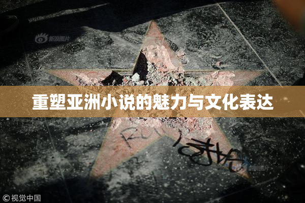 重塑亚洲小说的魅力与文化表达