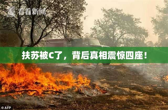 扶苏被C了，背后真相震惊四座！