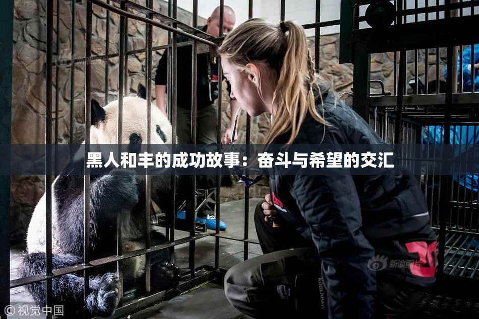 黑人和丰的成功故事：奋斗与希望的交汇