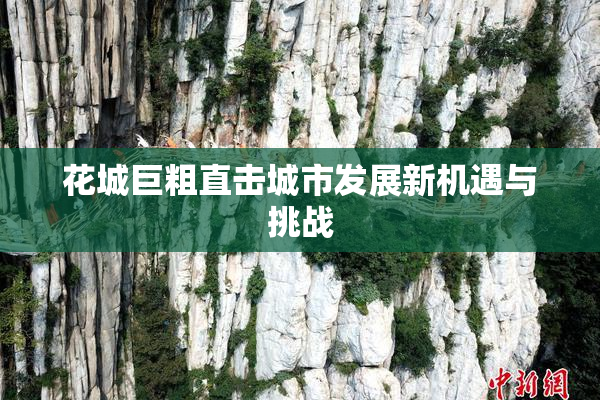 花城巨粗直击城市发展新机遇与挑战