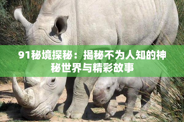 91秘境探秘：揭秘不为人知的神秘世界与精彩故事
