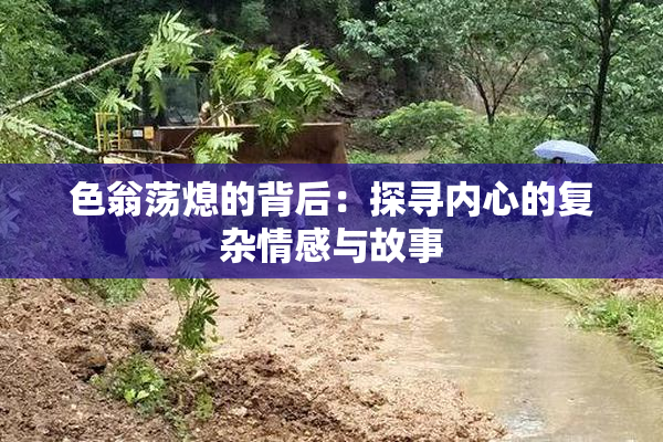 色翁荡熄的背后：探寻内心的复杂情感与故事