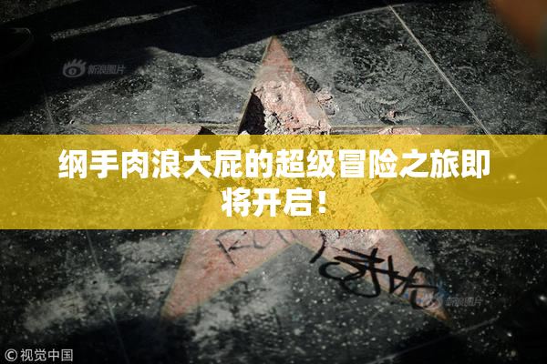 纲手肉浪大屁的超级冒险之旅即将开启！