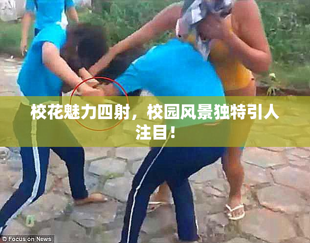 校花魅力四射，校园风景独特引人注目！