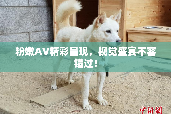 粉嫩AV精彩呈现，视觉盛宴不容错过！