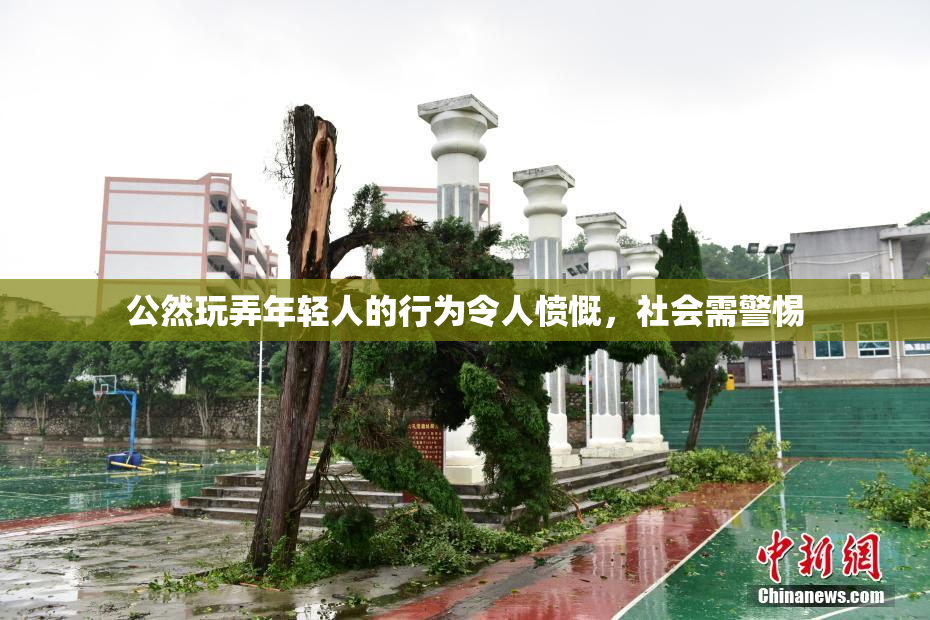 公然玩弄年轻人的行为令人愤慨，社会需警惕