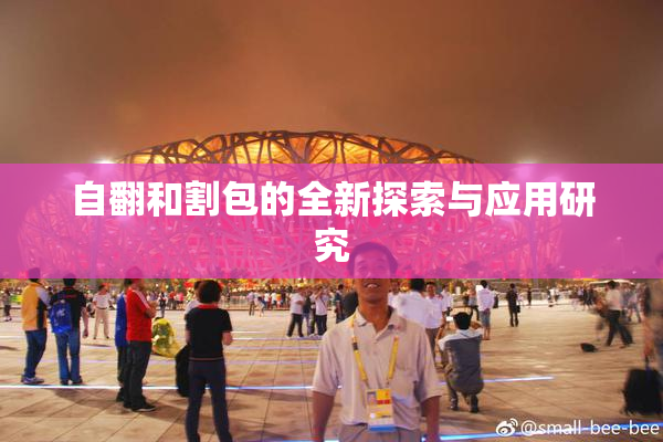 自翻和割包的全新探索与应用研究