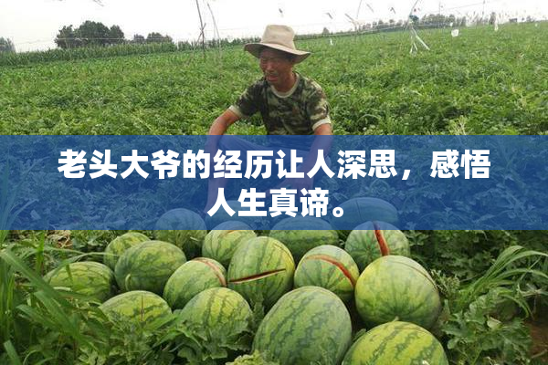 老头大爷的经历让人深思，感悟人生真谛。