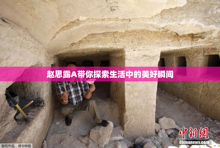 赵思露A带你探索生活中的美好瞬间