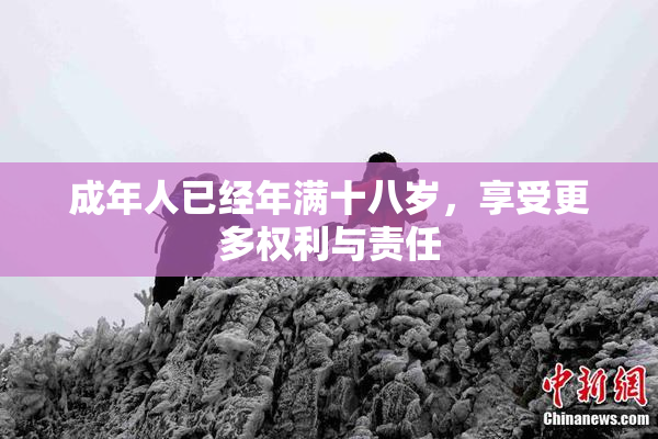 成年人已经年满十八岁，享受更多权利与责任