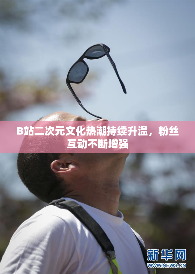 B站二次元文化热潮持续升温，粉丝互动不断增强