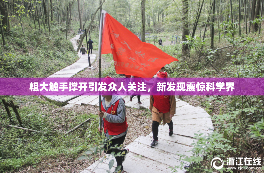 粗大触手撑开引发众人关注，新发现震惊科学界