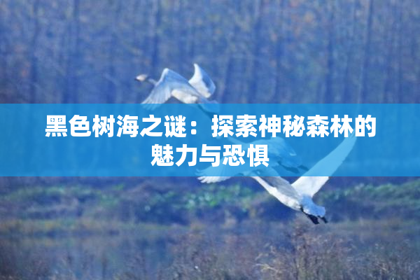 黑色树海之谜：探索神秘森林的魅力与恐惧