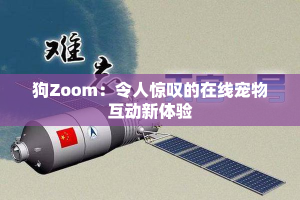 狗Zoom：令人惊叹的在线宠物互动新体验