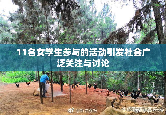 11名女学生参与的活动引发社会广泛关注与讨论